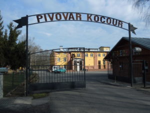 tpilky kocour